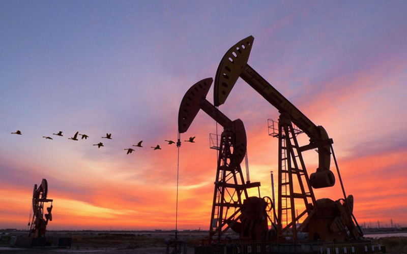 Нефтяная и газовая отрасль